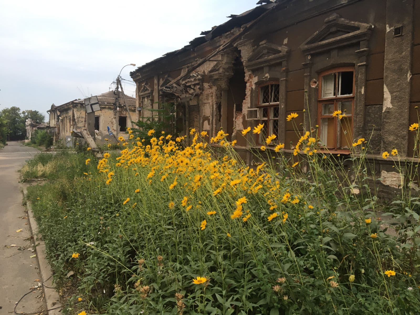 Surrealismo en el frente. Autor: Ingvar Aurum